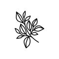 Hand drawn black botanical leaf branch wreath illustration. Line art of nature floral leaves element for icon, clip art or logo Royalty Free Stock Photo