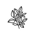 Hand drawn black botanical leaf branch wreath illustration. Line art of nature floral leaves element for icon, clip art or logo Royalty Free Stock Photo