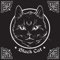 Hand drawn black cat with moon on his forehead in frame over black background and ornate gothic design elements. Wiccan familiar s