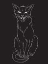 Hand drawn black cat over black background. Wiccan familiar spirit, pagan witchcraft theme design vector illustration.