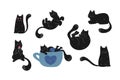 Hand drawn black cat set. Funny and cute cat is sleeping, relaxing in a tea cup, biting a heart, lying and sitting