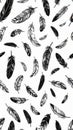 Hand Drawn Black Feathers Seamless Pattern on White Background Royalty Free Stock Photo
