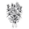 Hand drawn black pencil lavender flowers bouquet isolated on white background. Can be used for post card, label, ornament