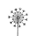 Hand drawn black silhouette dandelion on a white background