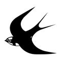 Hand-drawn black vector illustration of one swallow bird is flying on a white background Royalty Free Stock Photo