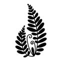 Hand drawn black vector silhouette of fern isolated on white background