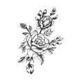 Hand drawn black white roses for tatto or t-shirt graphic resources, vector