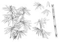 Hand drawn black and white vector illustration set of bamboo, leaf. sketch. Royalty Free Stock Photo