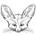 Hand drawn black and white vector portrait of fennec fox isolated on white background