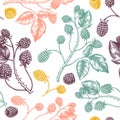 Hand drawn blackberries vector  backdrop in color.  Wild berries seamless pattern. Hand drawing. Vintage forest berry sketch. Royalty Free Stock Photo