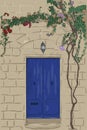 Hand drawn blue door with lamp. Stone wall with climbing tree. Home stone porch Royalty Free Stock Photo