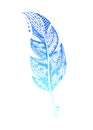 Hand-drawn blue gradient feather with doodle patterns on isolated . Hand draw illustration. Royalty Free Stock Photo