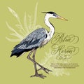 Hand-drawn blue heron and seashell vector illustration with botanical and oceanic decorative elements.