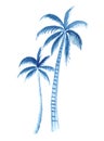 Hand drawn blue palm tree watercolor illustration, isolated nature on white background