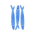 Hand Drawn blue watercolor illustration a group of anchovy fish on white background.