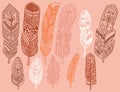 Hand drawn bohemian, tribal, ethnic set of feathers. Rustic decorative feathers. Vintage vector design set Royalty Free Stock Photo