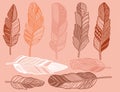 Hand drawn bohemian, tribal, ethnic set of feathers. Rustic decorative feathers. Vintage vector design set Royalty Free Stock Photo