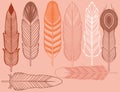 Hand drawn bohemian, tribal, ethnic set of feathers. Rustic decorative feathers. Vintage vector design set Royalty Free Stock Photo