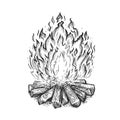 Hand drawn bonfire. Flame and burn firewood, fireplace sketch vector illustration