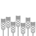 Hand drawn border with wheat ears . Black and white vector illustration Royalty Free Stock Photo