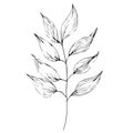 hand-drawn botanical designs, botanical designs, tattoo botanical designs, linework botanical tattoos