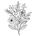 hand-drawn botanical designs, botanical designs, tattoo botanical designs, linework botanical tattoos,