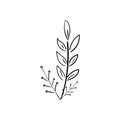 Hand drawn botanical leaf doodle