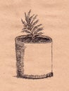 Hand drawn botanical sketch. Fir tree in pot. Botany illustration. Nature and ecology. For postcards, stationery and posters. Draw Royalty Free Stock Photo