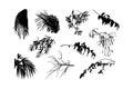 Vector hand drawn big collection with wild and medicinal herbs. Hand drawn botanical sketch with plants and flowers. For