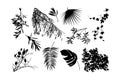 Vector hand drawn big collection with wild and medicinal herbs. Hand drawn botanical sketch with plants and flowers. For