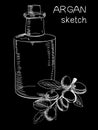 Hand drawn bottle with oil. VECTOR illustration. Chalk drawings.