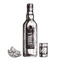 Hand drawn bottle of vodka, shot glass and lemon slices, sketch style vector illustration Royalty Free Stock Photo