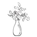 Hand drawn bouquet branches and leaves in vase. Meadow plant engraving sketch garden. Isolated black lines on white background.