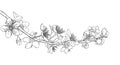 Hand drawn branch with cherry blossoms. Sakura flowers, leaves, petals. Spring design elements