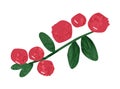 Hand drawn branch of cranberry or lingonberry vector flat illustration. Red ripe healthy berries, seasonal edible fruits
