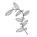 Hand drawn branch with leaves isolated on white background. Decorative doodle sketch illustration. Vector floral element Royalty Free Stock Photo