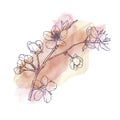 Hand drawn branch of sakura with blooms, flowers, leaves, petals. Pink, blush watercolor blot. Modern line art style. B