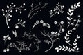 Hand drawn branches and flowers illustration, whimsical magic stenciled iconography AI Generated