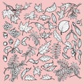 Hand drawn branches and leaves of temperate forest trees. Black and white sketch style set isolated on pink background