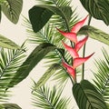 Hand drawn branches and leaves of tropical plants. Natural green background with space for text. Royalty Free Stock Photo