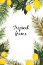 Hand drawn branches and leaves of tropical plants. Natural green background with space for text. Royalty Free Stock Photo