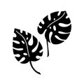 Hand drawn branches set of tropical plants leaves monstera isolated on white background. Silhouette vector illustration. Royalty Free Stock Photo