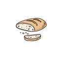 Hand drawn bread doodle. Organic ecological food vector image