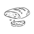 Hand drawn bread sketch doodle. Organic ecological food vector image