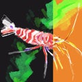 Hand-drawn bright abstract colorful stylized fashion illustration of a Caribean Shrimp on abstract backgroun