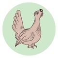 Hand drawn brown capercaillie icon