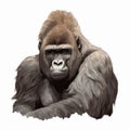 Hand Drawn Brown Eastern Lowland Gorilla On White Background