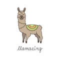 Llama vector hand drawn illustration