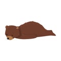 Brown teddy bear sleeping on ground vector illustration