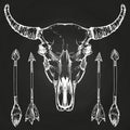 Hand drawn buffalo skull and arrows